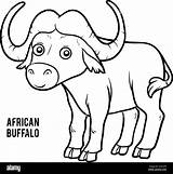 Coloring Book For Children African buffalo Stock Vector Image & Art  sketch template