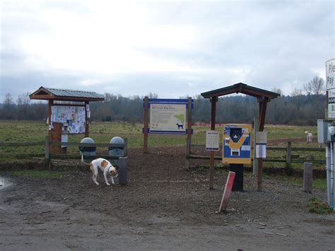 Pacific NW Travels and Tails: Marymoor Off Leash Dog Park