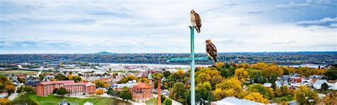 Who We Are | About Loras College | Mission, Vision, & Values | Loras College