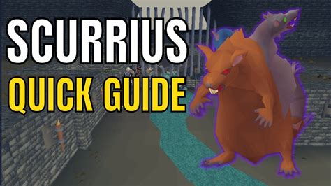 Scurrius Guide - Runescape's New Rat Boss [OSRS] - YouTube