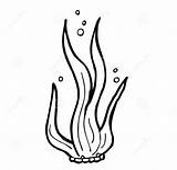 Simple Seaweed Coloring Pages For Kids  Educative Printable sketch template