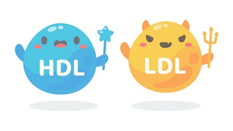 HDL and LDL cholesterol cartoon. Good fat and bad fat accumulated in the body. 14828894 Vector ...