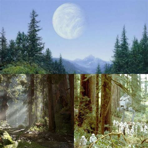 The Forrest Moon of Endor - home of the Ewoks. | Star wars images, Endor, Strange magic