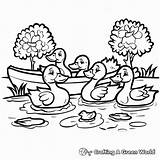 Pond Coloring Pages  Free & Printable sketch template