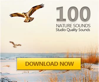 Royalty Free Nature Sounds | SoundBible.com Blog