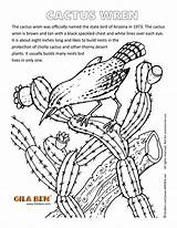 Grand Canyon Coloring Pages Printable sketch template