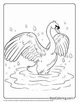 100  Swan coloring pages Free PDF To Print Woo Coloring sketch template