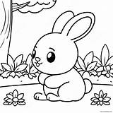 Fluffy Baby Bunny In Garden Coloring Page 38534 30483 sketch template