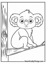 15 Koala Coloring Pages 100% Free To Download & Print sketch template