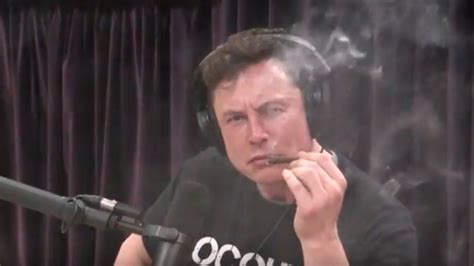 Elon Musk Has 'No Idea' How to Smoke Weed, Says Elon Musk