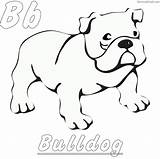 Bulldog Coloring Pages PDF Printable  Coloringfoldercom Dog sketch template
