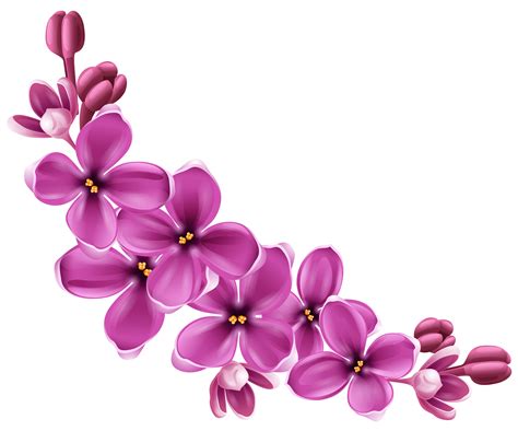 Vector Violet Flower PNG Image | PNG All