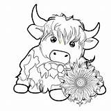 Cute Scottish Highland Cow Coloring Page · Creative Fabrica sketch template