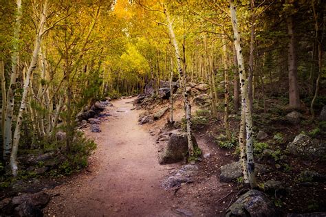 The Best Drives and Hikes in Rocky Mountain NP for Fall Colors