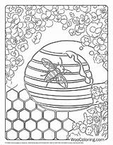 100  Bee coloring Pages Free PDF To Print Woo Coloring sketch template
