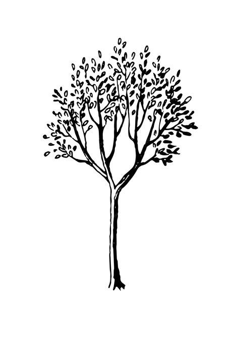 Premium Vector | Spring tree ink sketch hand drawn vector illustration ...