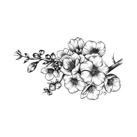 hawthorn flower tattoo designs - buddhaartdrawingpencileasy