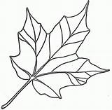 25 Free Leaf Coloring Pages For Kids And Adults sketch template