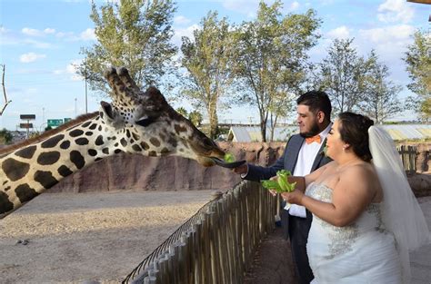 El Paso Wedding and Event Venue — El Paso Zoo Events