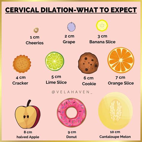 Cervical Dilation | Cantaloupe and melon, Banana slice, Dilations