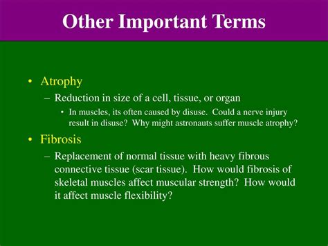 The Muscular System-Human Anatomy - ppt download