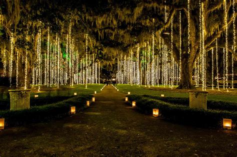 Brookgreen Gardens Night Of A Thousand Candles | Fasci Garden