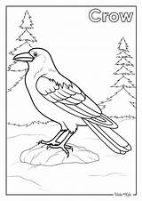 Crow Coloring Pages Free Printable PDFs  WakeTheKids sketch template