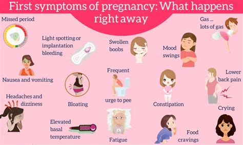 First signs you might be pregnant - Pregnancy Tips