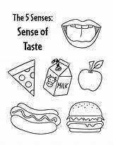 Sense Of Taste Worksheets For Preschool ⋆ The Hollydog Blog sketch template