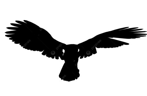 Eagle, Silhouette, Silhoette, Claw PNG Transparent Image and Clipart for Free Download