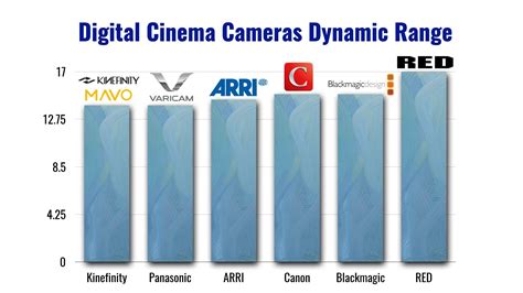 Cinema Cameras Dynamic Range Comparison: “Paycheck Stops" vs.“Gravy ...