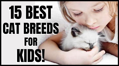 Cats 101 : 15 Best Cat Breeds for Kids - YouTube