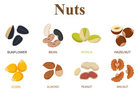 Set of eight different types nuts | Custom-Designed Graphic Objects ...