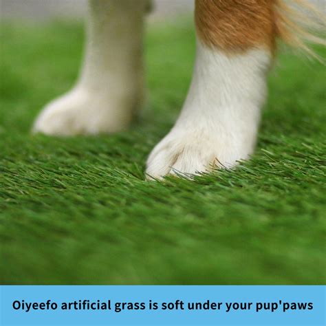 Oiyeefo Dog Grass pad with Tray,Indoor Dog Potty with 2 Packs ...