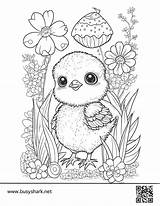 Adorable Easter Chick Coloring Pages sketch template