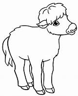 Yak Laughing Coloring Page  Free Printable Pages For Kids sketch template