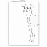 Clipart Whippet Greyhound Lurcher Dog Galgo Thewhippet Line Outline  sketch template