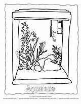Coloring Pages Of Fish Tank sketch template