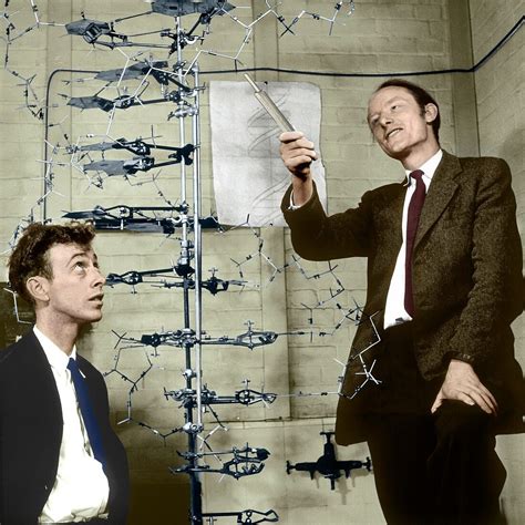 Watson and Crick with their DNA model – Bild kaufen – 12491626 Science Photo Library