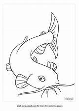 Free Catfish Coloring Page  Coloring Printables Kidadl sketch template
