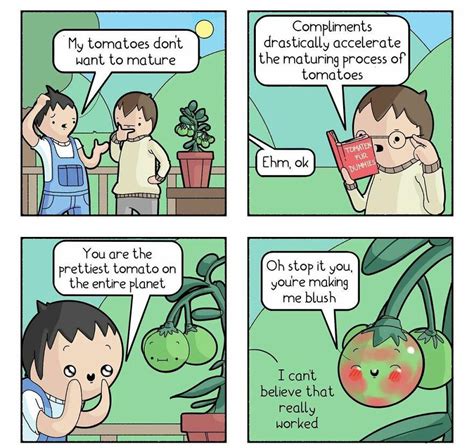 This is how tomatoes getting color | /r/wholesomememes | Wholesome Memes | Know Your Meme