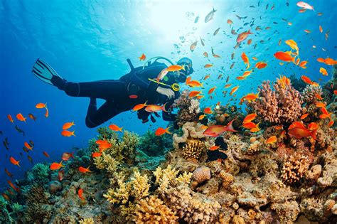 Best Scuba Diving In Thailand: Dive Sites You Just Can't