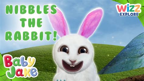 @BabyJakeofficial - Explore with Nibbles the Rabbit! 🐰 | Full Episodes | Compilation ...