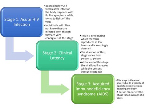 Hiv Infection Stages