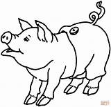 49 Pig Coloring Pages  ColoringPagesOnlycom sketch template