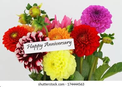 230,464 Happy anniversary flowers Images, Stock Photos & Vectors ...