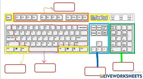 Keyboard parts 965660 | Alaa Yousef | LiveWorksheets