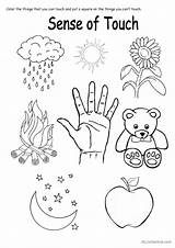 Senses Touch Coloring Sense Preschool Five Activities Kindergarten  sketch template