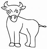 Cute Ox Coloring Page  Free Printable Pages For Kids sketch template