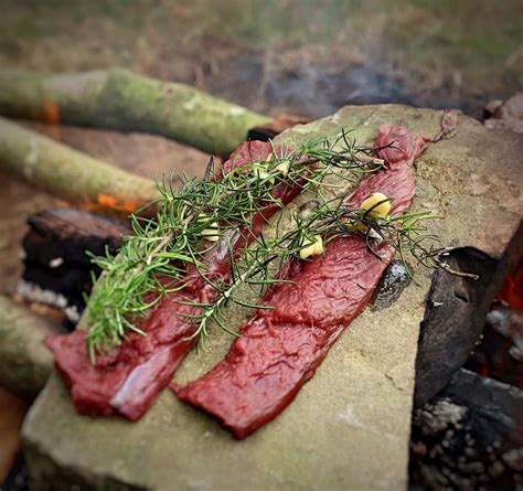 Cooking On a Rock | Wild Way Bush Craft